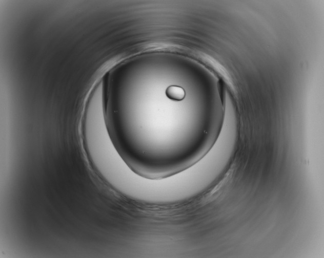 X0000094231330200711091307