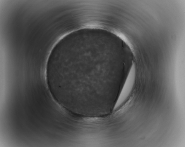 X0000094231331200711091307