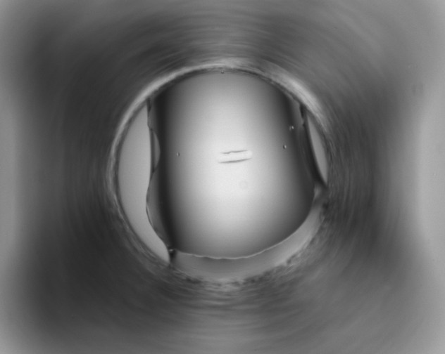 X0000094231332200711091307