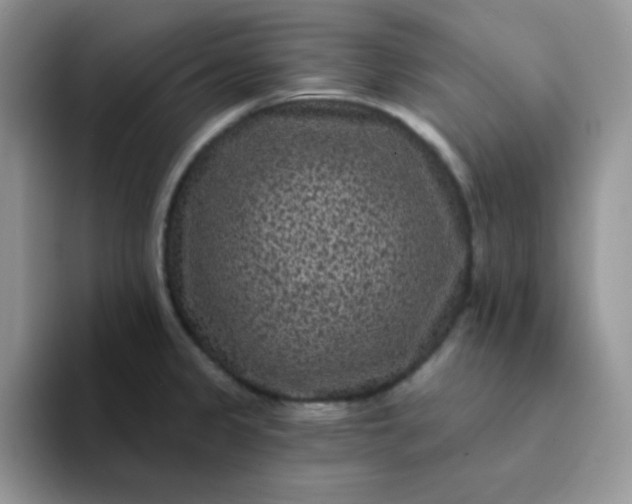 X0000094231333200711091307