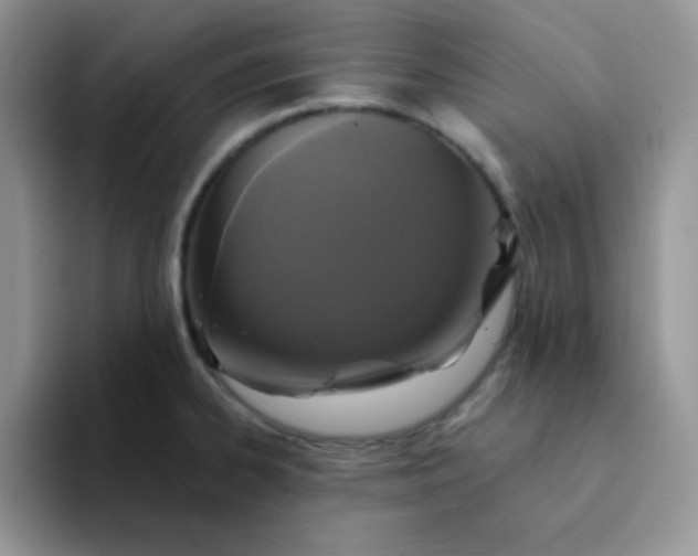 X0000094231334200711091307