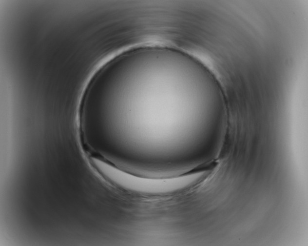 X0000094231335200711091307