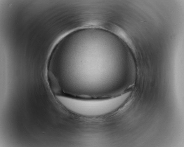 X0000094231336200711091307