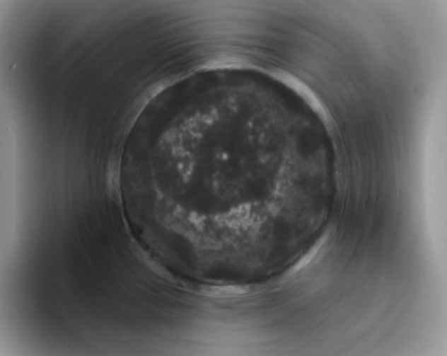 X0000094231337200711091307