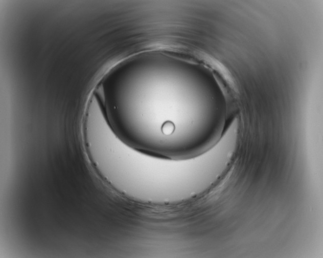 X0000094231338200711091307