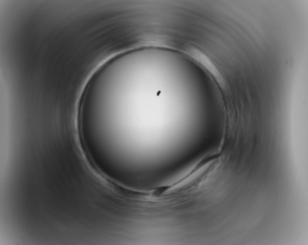 X0000094231339200711091307