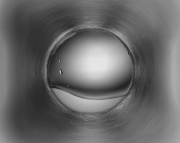 X0000094231341200711091307