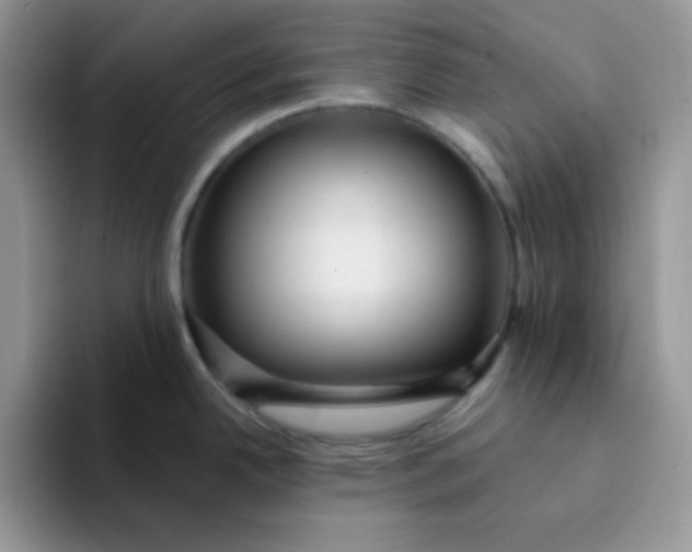 X0000094231342200711091307