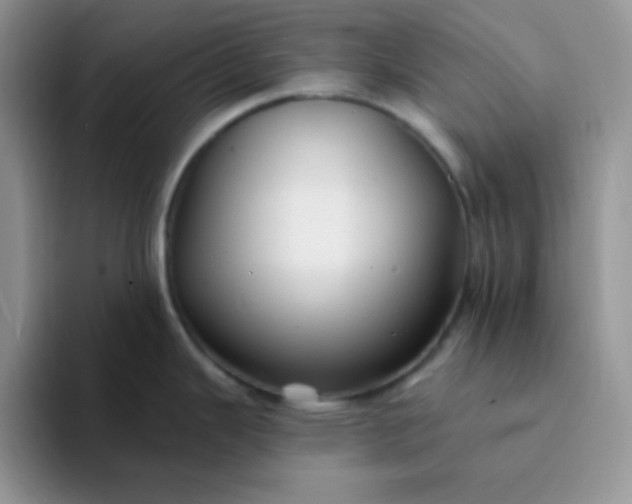 X0000094231343200711091307