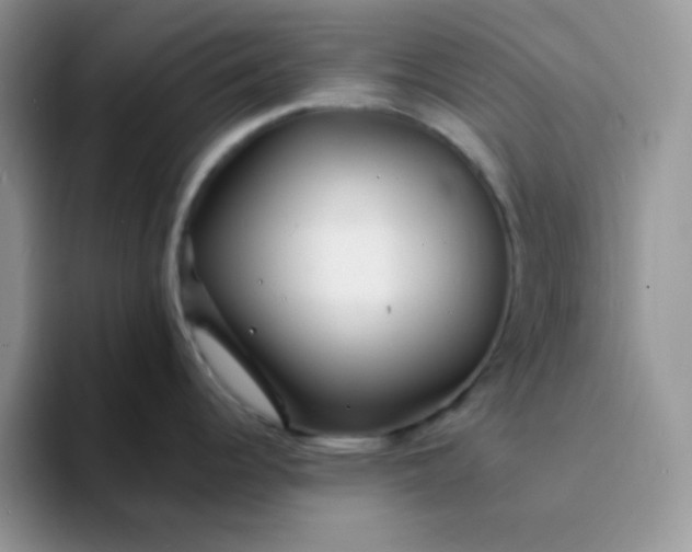 X0000094231344200711091307