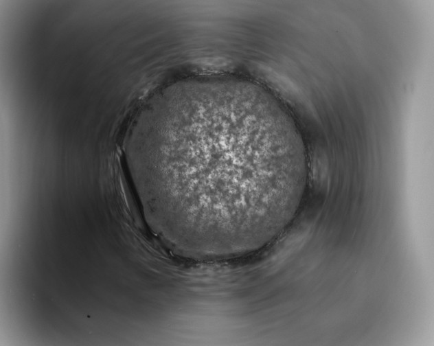 X0000094231346200711091307