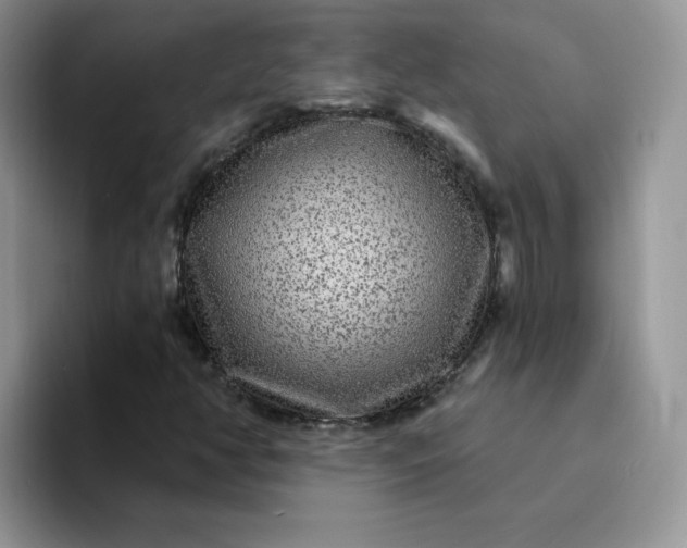 X0000094231350200711091307