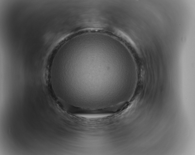 X0000094231352200711091306