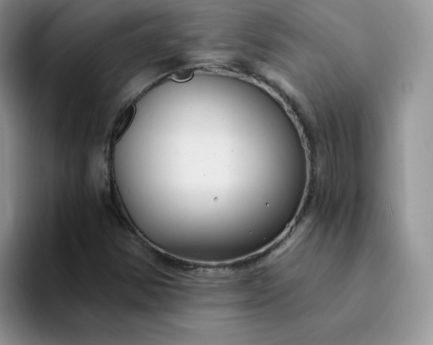 X0000094231354200711091306