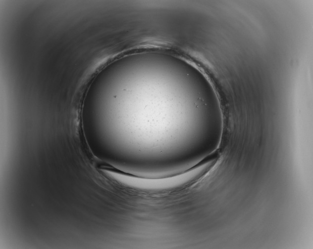 X0000094231355200711091306