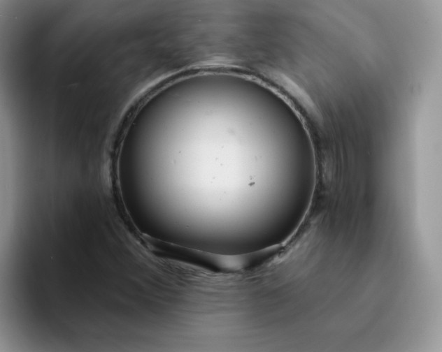 X0000094231356200711091306