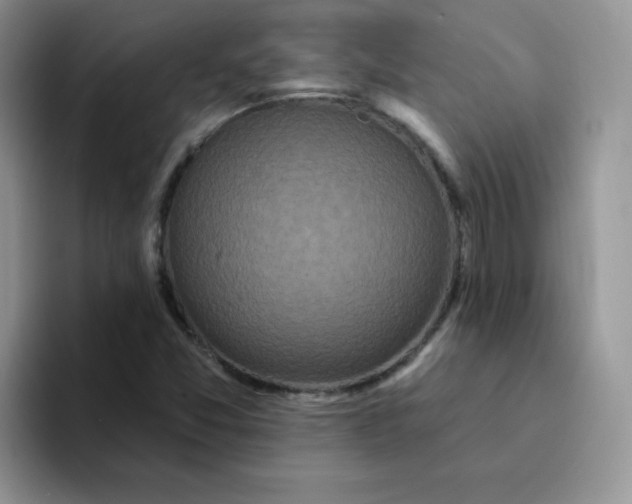 X0000094231357200711091306