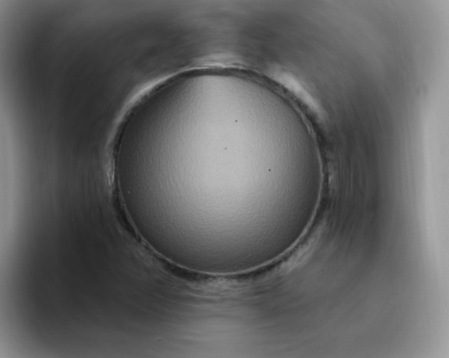 X0000094231358200711091306