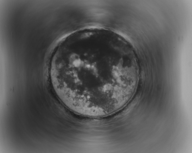 X0000094231359200711091306