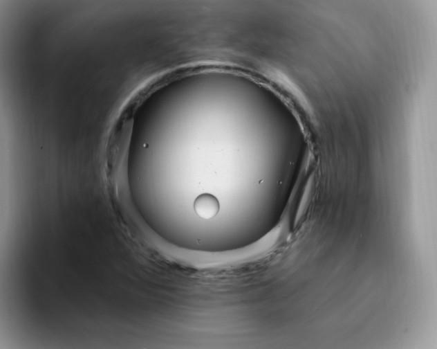 X0000094231360200711091306