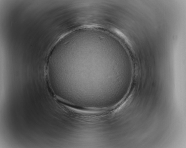 X0000094231361200711091306