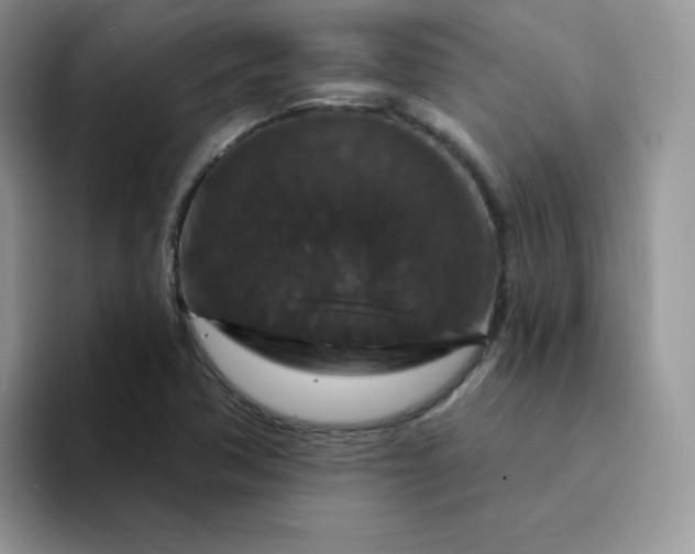 X0000094231362200711091306