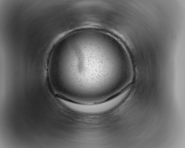 X0000094231363200711091306