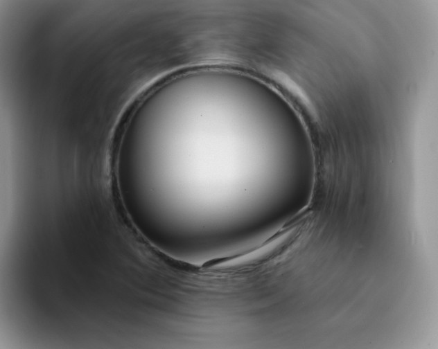 X0000094231364200711091306