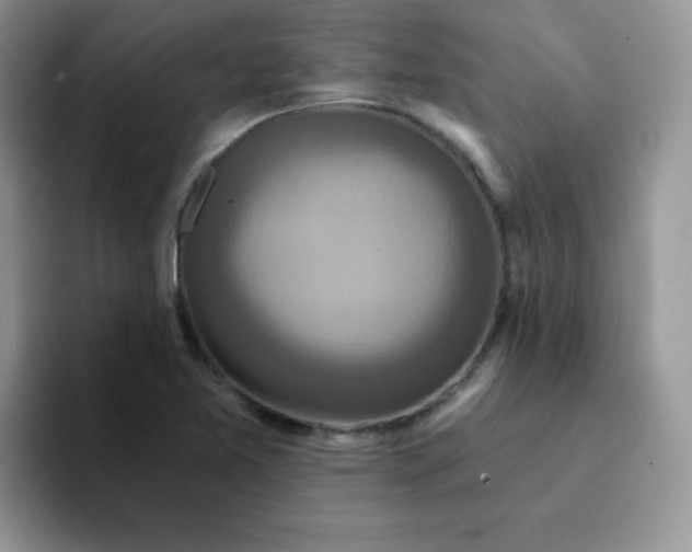 X0000094231365200711091306