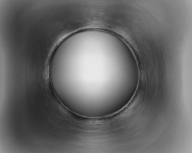 X0000094231366200711091306