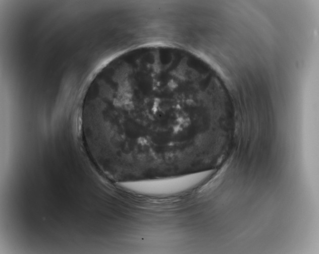 X0000094231367200711091306