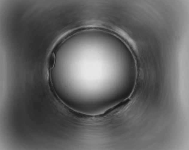 X0000094231368200711091306