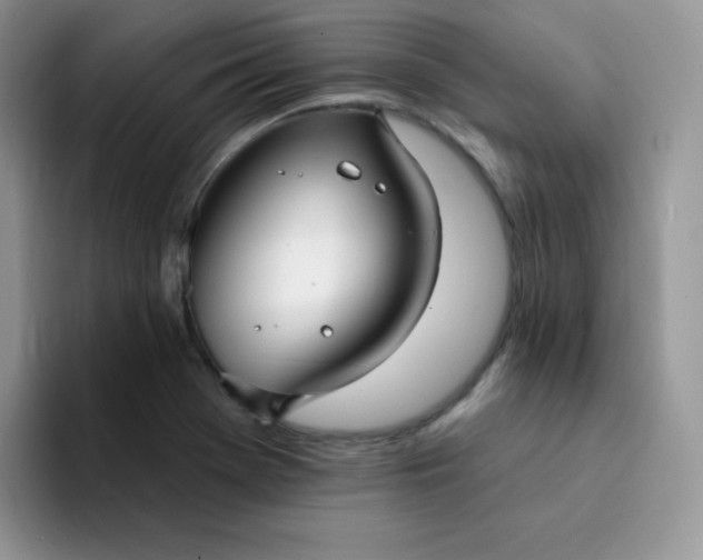 X0000094231369200711091306