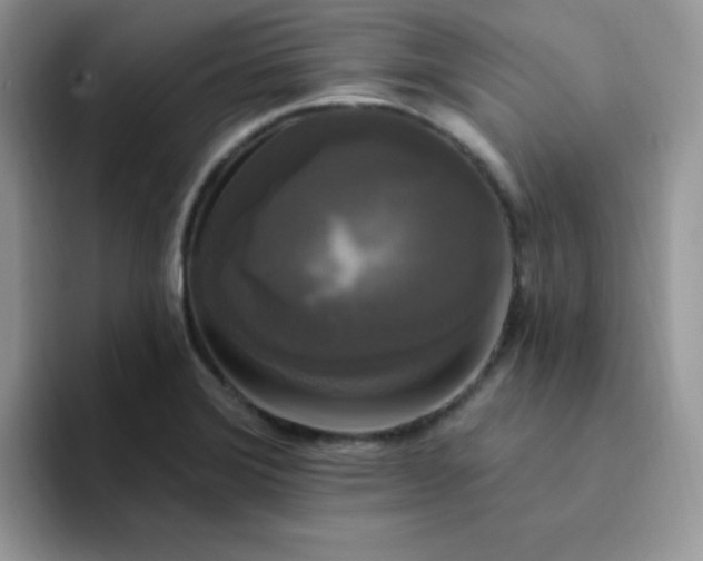 X0000094231372200711091306