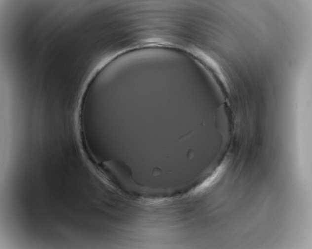 X0000094231373200711091306