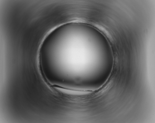 X0000094231375200711091306