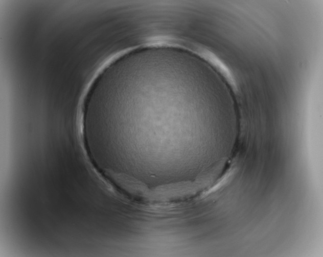 X0000094231376200711091306