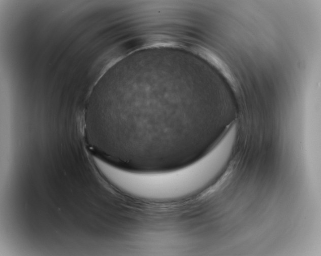 X0000094231377200711091306