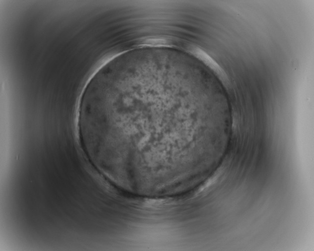 X0000094231378200711091306