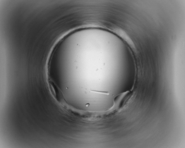 X0000094231380200711091306