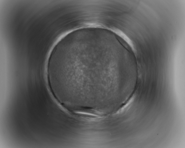 X0000094231381200711091306