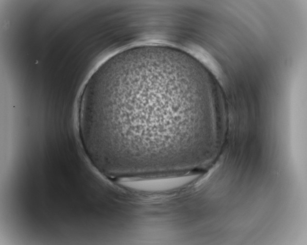 X0000094231382200711091306