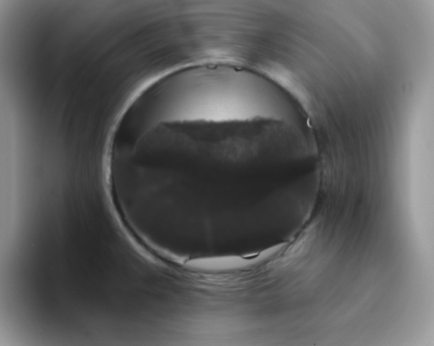 X0000094231383200711091306