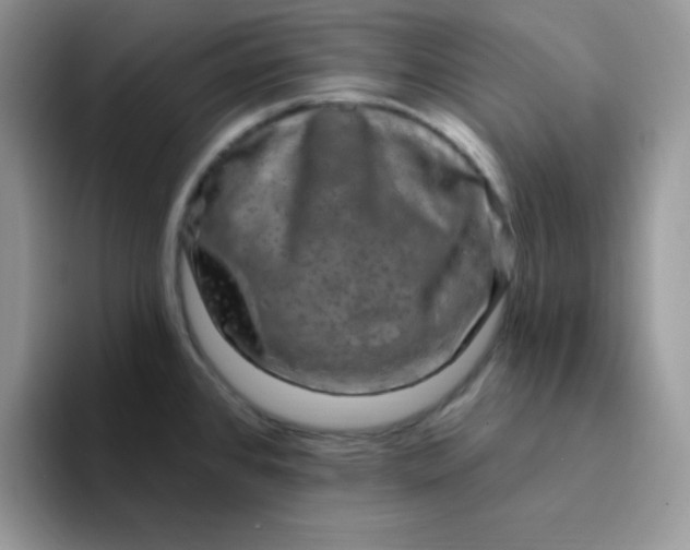 X0000094231384200711091306