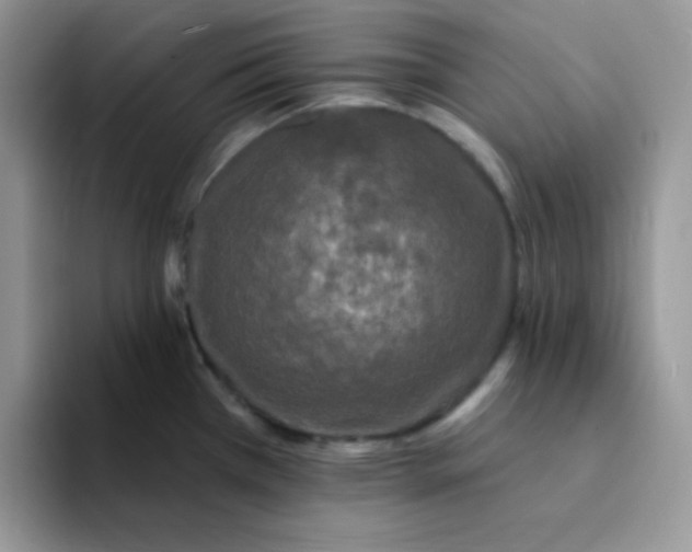 X0000094231385200711091306