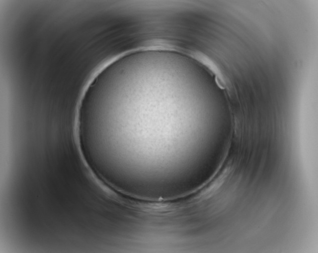 X0000094231387200711091306