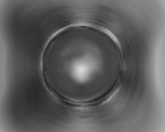 X0000094231388200711091306