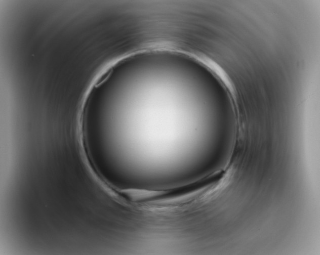 X0000094231389200711091306