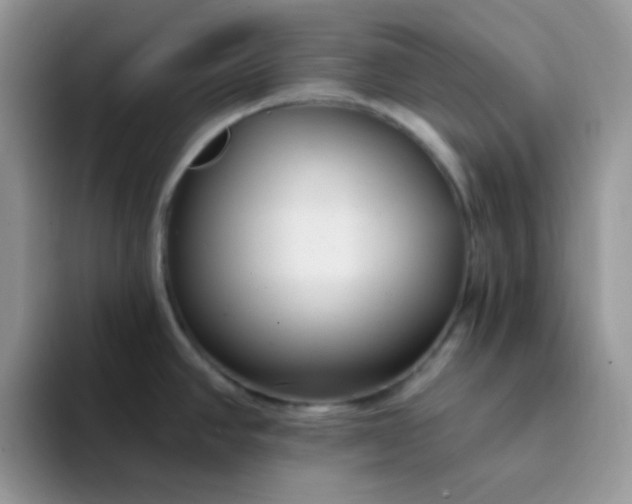 X0000094231390200711091306