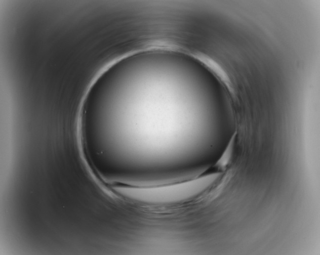 X0000094231391200711091306